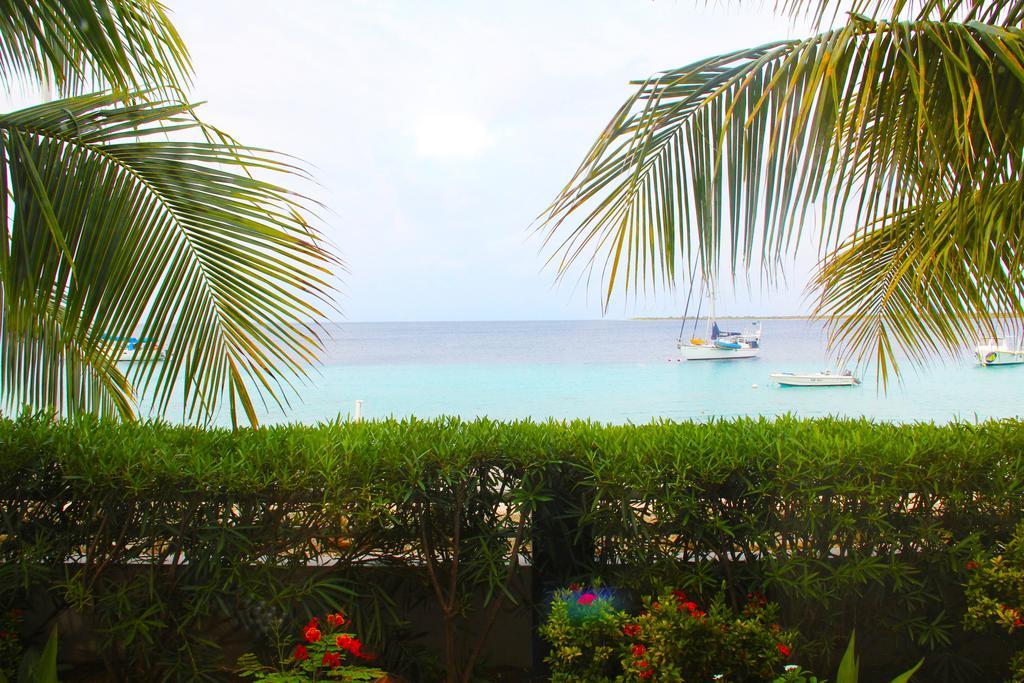 Bonaire Seaside Apartments Extérieur photo