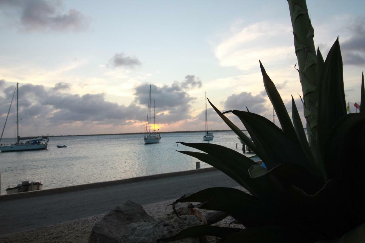 Bonaire Seaside Apartments Extérieur photo
